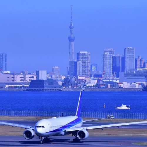 羽田空港飛行機